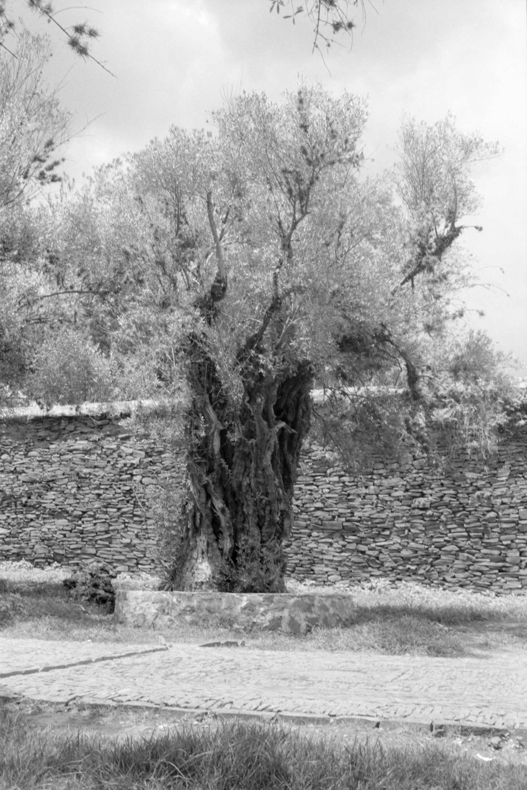 AHP FilmScan 240807 0471